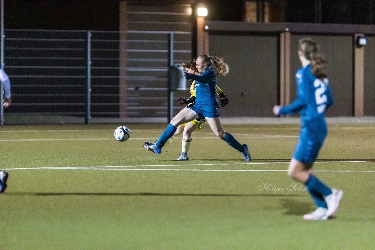 Bild 101 - F SC Alstertal-Langenhorn - Hamburger SV 3 : Ergebnis: 2:2